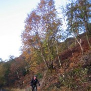 Autumn colours on the road to Mamore Lodge.