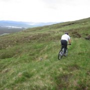 Some sections are a little back to nature.