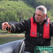 Squat lobster