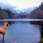 Glencoe Lochan