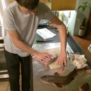 Fresh from the sea.