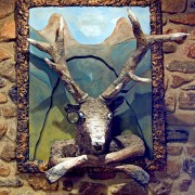 Monocle of the glen